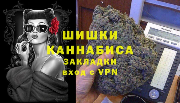 метадон Алексин