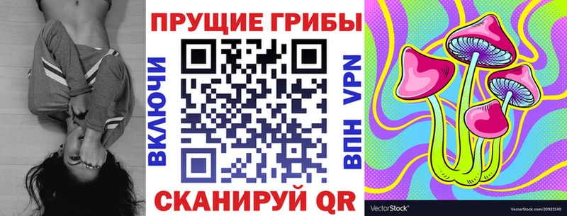 наркота  Краснознаменск  Псилоцибиновые грибы Cubensis 